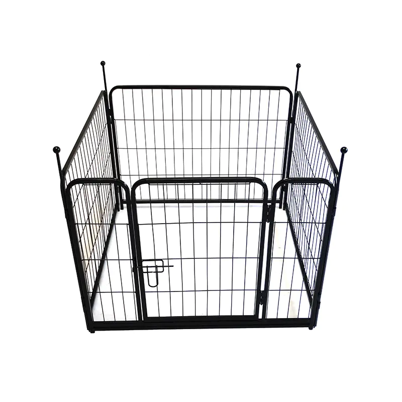 Dog Fence
